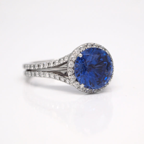 Shop Platinum Sapphire Halo Engagement Ring | Judith Arnell - Judith ...