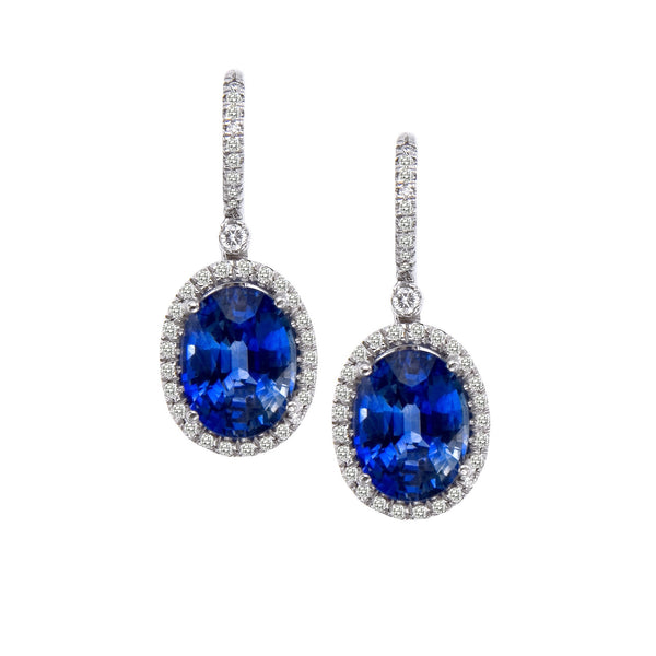18K White Gold Oval Sapphire Earrings - Judith Arnell Jewelers